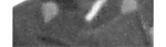 Friedrich Junghans